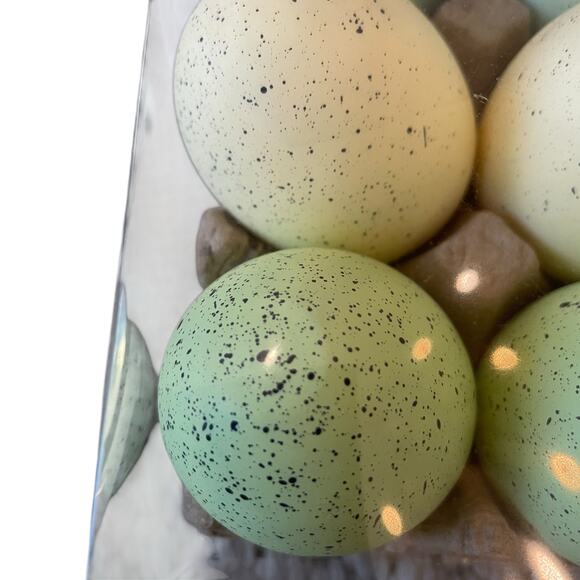Queenswest Easter Eggs Boxed Set of 12 Pastel Colors Speckled Spring Decor New - Picture 10 of 13